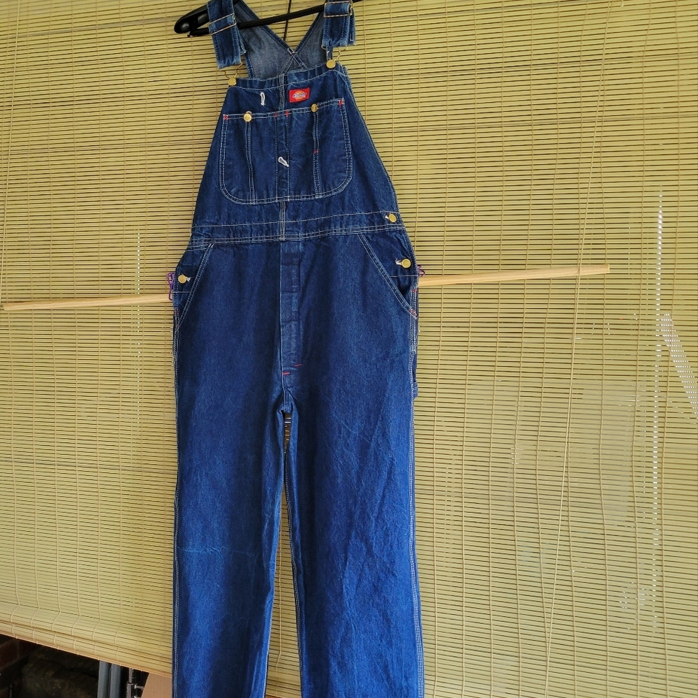 Men's Dickie Carpenter Overalls